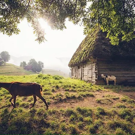 Gospodarstwo agroturystyczne Totu'bun Sălciua de Jos