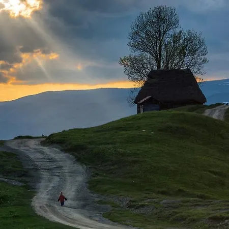 Totu'bun Gospodarstwo agroturystyczne Sălciua de Jos