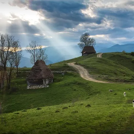 Totu'bun Sălciua de Jos
