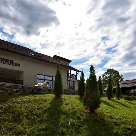 Totu'bun Gospodarstwo agroturystyczne Sălciua de Jos