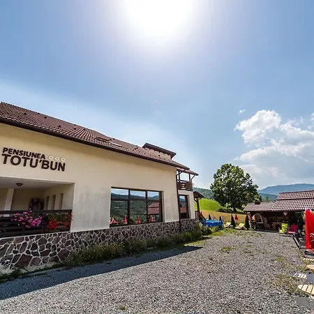 Totu'bun